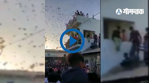 Gujarat Viral video