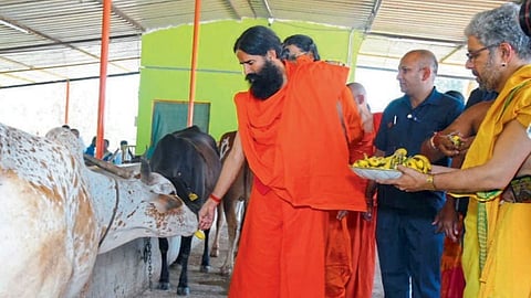 Baba Ramdev In Goa