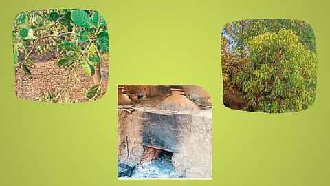 Urak Season in Goa