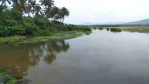 Nanda Lake|Goa Environment
