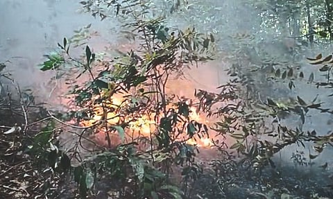 Fire In Goa