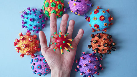 H3N2 Influenza Virus