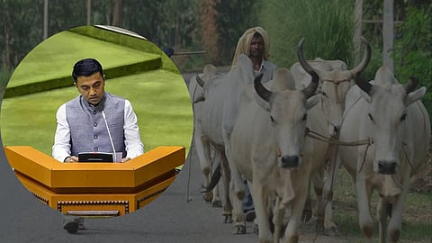 Goa Budget