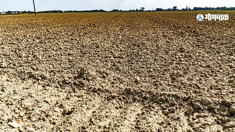 Goa Agriculture Land