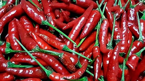 Birds Eye Chili