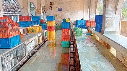 Goa fish Market