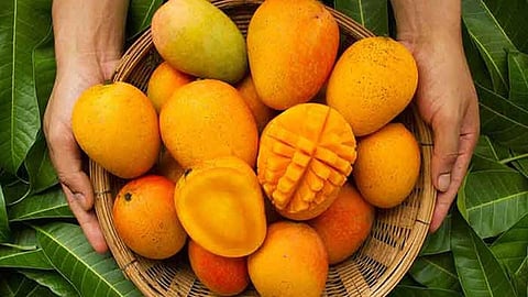 Mango