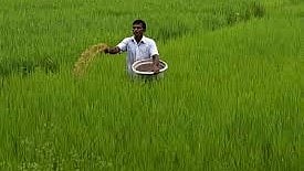 Agriculture policy