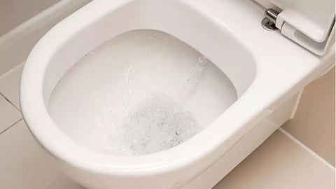 US Poop Donor company