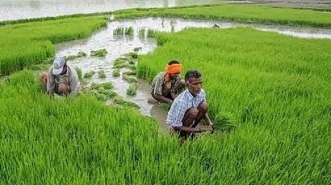 PM Kisan