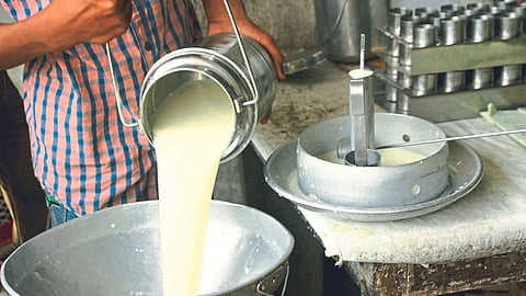Agriculture News