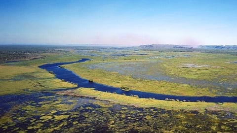 New Wetlands in Goa