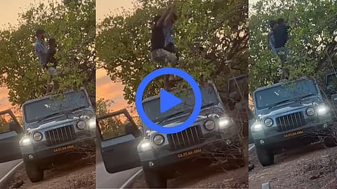 Goa Viral Video