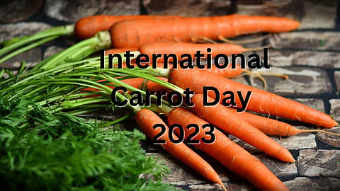 International Carrot Day 2023