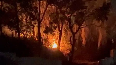 Mandrem Fire