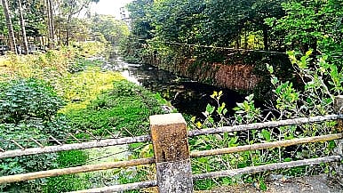 polluted water