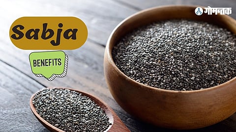 Sabja Seeds Benefits