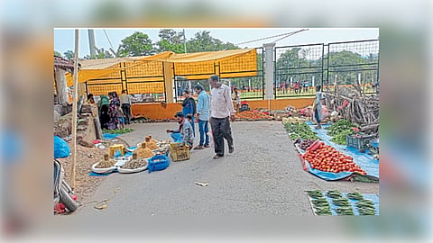 Valpoi Fish Market