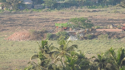 Farm