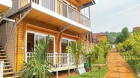 Shacks Bussiness