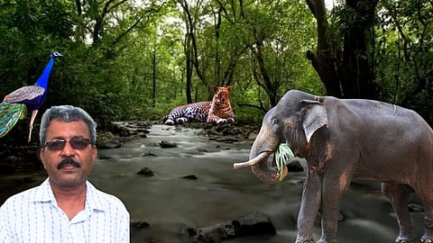 Wildlife In Goa