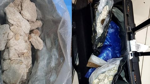 NCB seizes 1 kg of cocaine in Goa