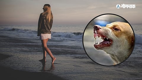 Stray Dogs Attack on Tourists