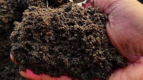 Fertilizer production