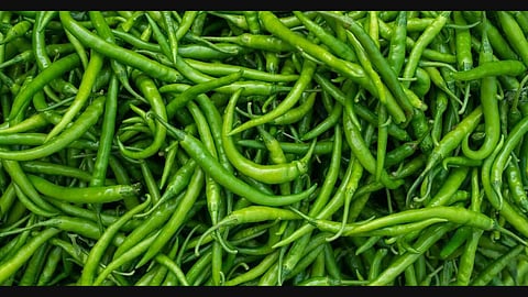 Green Chilli Benefits