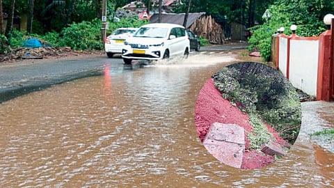 Morjim News