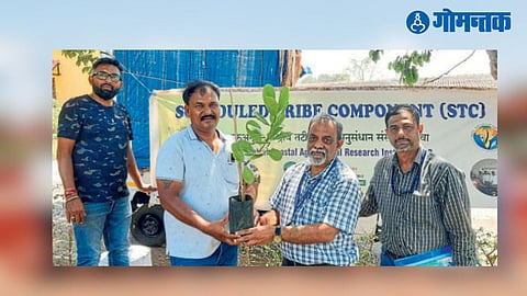 Goa Agriculture