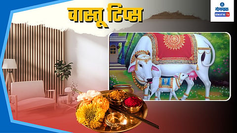 Vastu Tips For Home