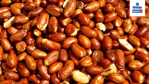 Peanut Allergy