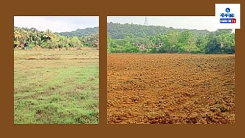 Monsoon Update