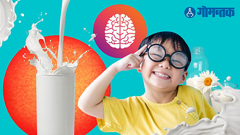 World Milk Day 2023