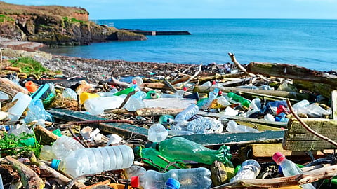 World Oceans Day