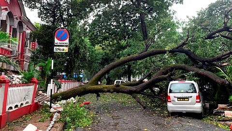 Gale In Goa