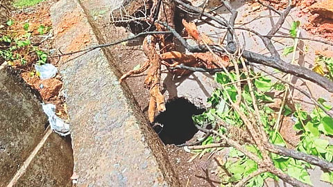 Mapusa News