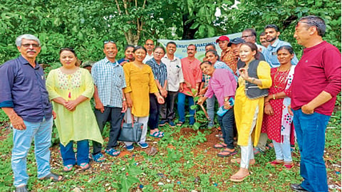 Van Mahotsav Day