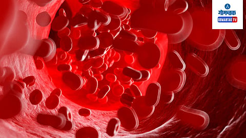 Low Haemoglobin Food