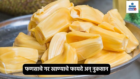Jackfruit