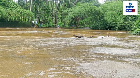 Goan Monsoon 2023