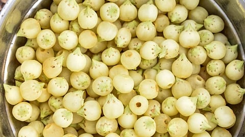 Mahua Jharkhand