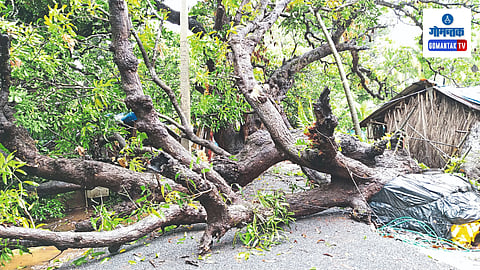 Goa Monsoon Update