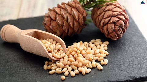 Pine Nuts