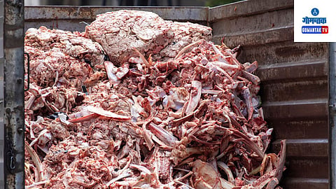 Meat Waste in Car
