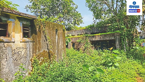Palolem News