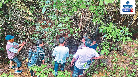 Biodiversity In Goa