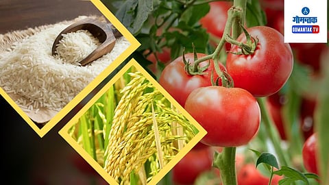 Goa Vegetable, Fruit Cultivation on Rise:
