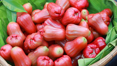 Water Apple